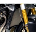 Motocorse Titanium Water Radiator Guard For MV Agusta Brutale 1090 /RR 990R / 920 Motocorse Titanium Water Radiator Guard For MV Agusta Brutale 1090 /RR 990R / 920